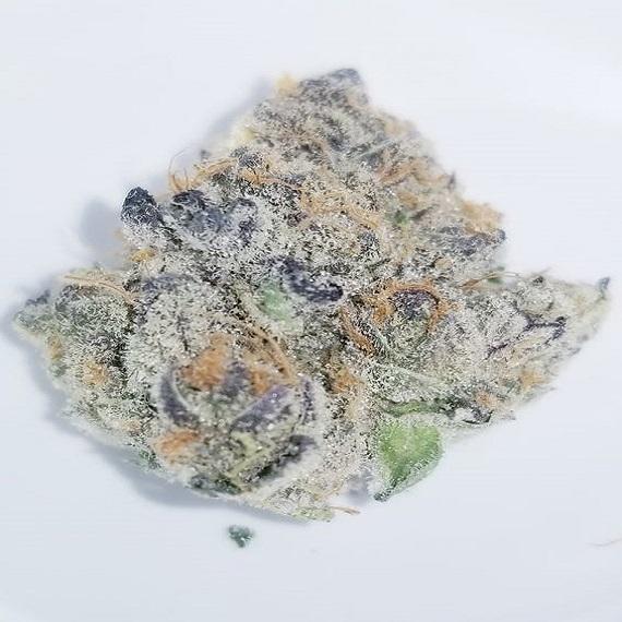 B.o.g.o BLUE COOKIES EXOTICS