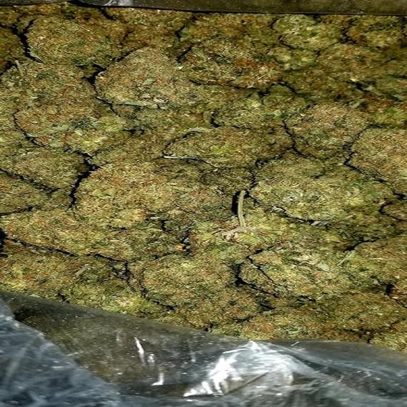 BOGO P.R. FIRE OG KUSH
