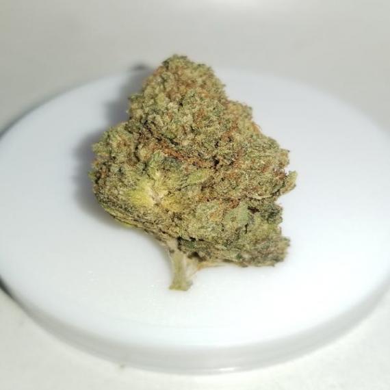 (BOGO) P.R. BLUE DIAMOND OG