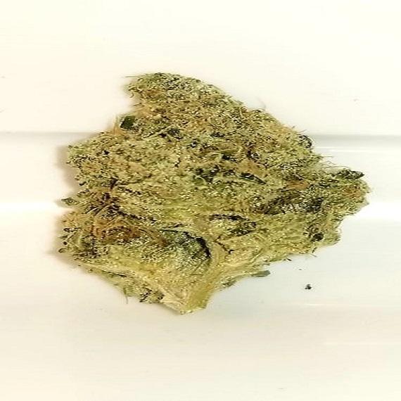 BOGO P.R. LAMBS BREAD