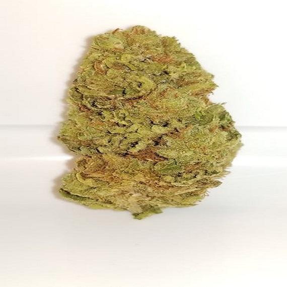 BOGO P.R. SUPER JACK DIAMOND