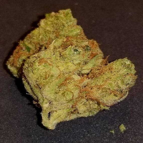 (BOGO) STARDOG OG