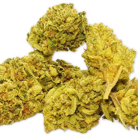 ALIEN OG 25.5%THC
